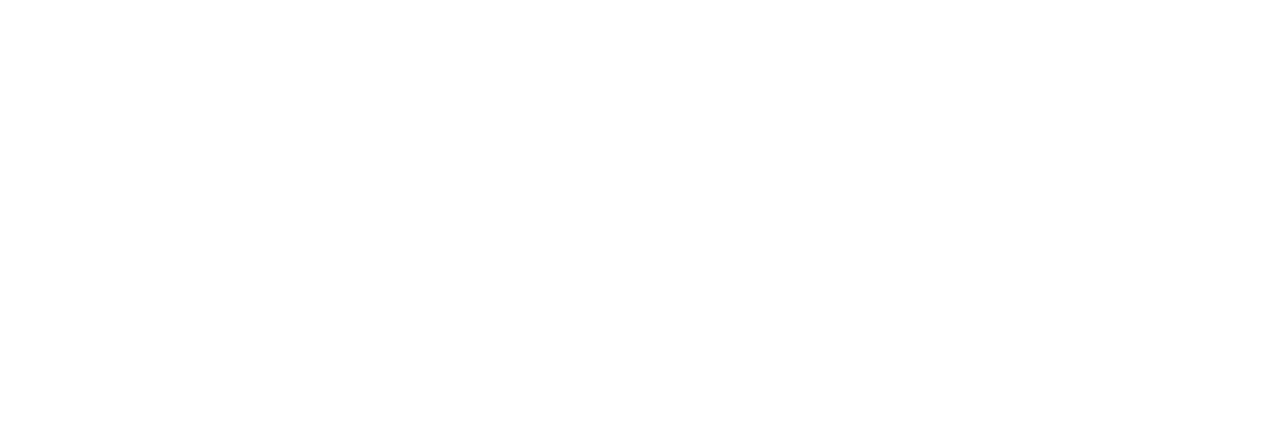 LOGO Reno Walter 2025__weiss