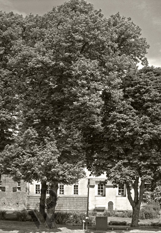 Reno-Walter_Aritekturfotografie_Manninga-Burg-Pewsum-
